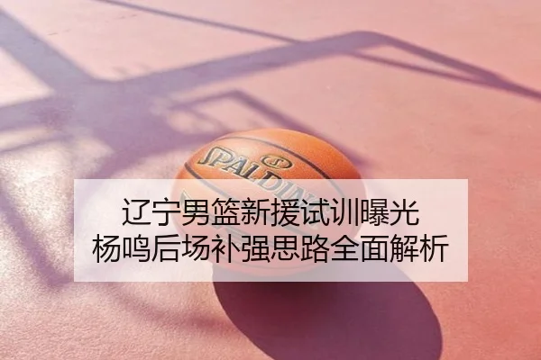 辽宁男篮新援试训曝光 杨鸣后场补强思路全面解析